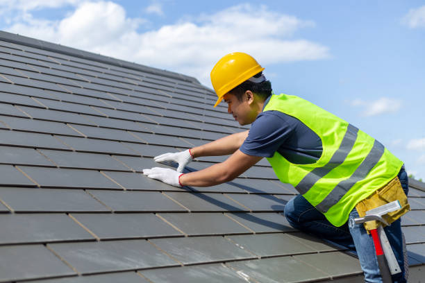 Best Roof Gutter Cleaning  in Terrace Heights, WA