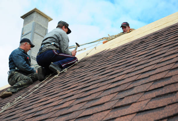 Tile Roofing Contractor in Terrace Heights, WA